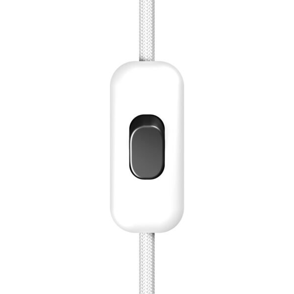 White single pole switch